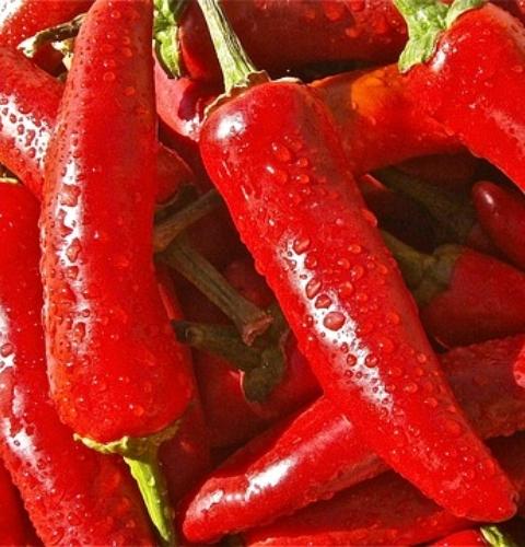 別盲目吹牛！吃辣自測表來(lái)襲……你能堅持幾級？